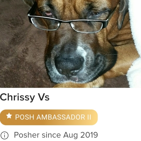 Chrissy V Poshmark Ambassador - Picture 2 of 6